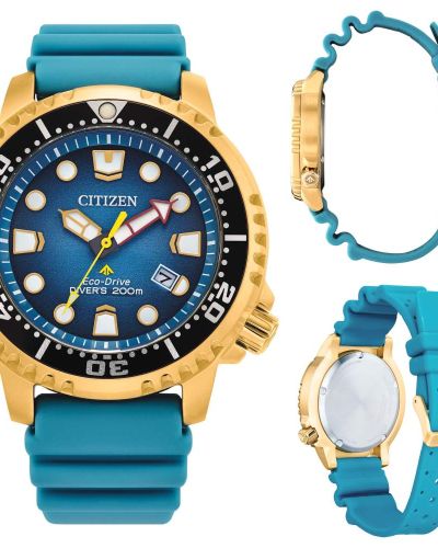 Citizen Promaster BN0162-02X Eco Drive